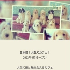 大型犬カフェ　ぐらんむー入場予約2名　4/29 11:00〜