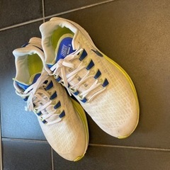 NIKEランニングシューズ25.5cm