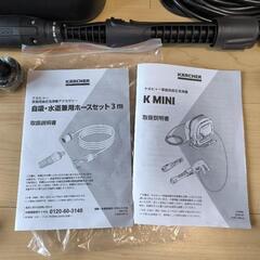 ソテツ二又 190センチ