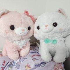 ふわねこ　ミューちゃん　ぬいぐるみBIG　ヒメとミュー