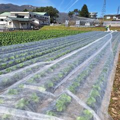 無理無く短時間作業♪畑の大切なお仕事です！