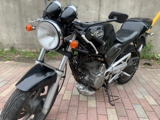 【希少】グース250 実動車