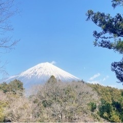 友達募集してます(*^^*)