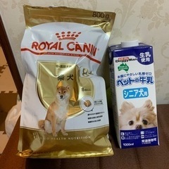 高齢犬用ドッグフードと牛乳