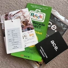 ace. Whisk-Z 32L エース 日本製 スーツケース ウィスクZ