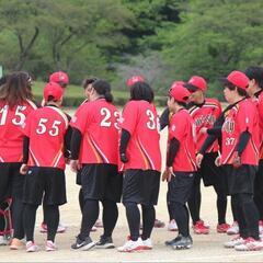 2024年新規チーム　女子ソフトボールメンバー募集 - 羽島市