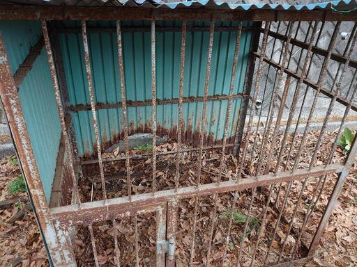鶏 鳥小屋 犬小屋 骨組み
