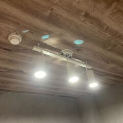 天井照明 3灯スポットライト