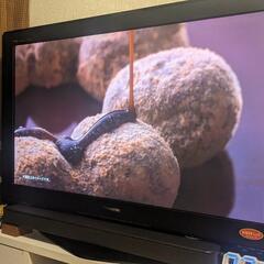 VIERA　家電　液晶　テレビ