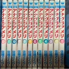 漫画アナグラアメリ全12巻全巻セット