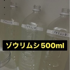 ⭐️ゾウリムシ（インフゾリア）500ml