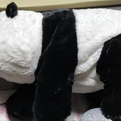 パンダぬいぐるみ🐼