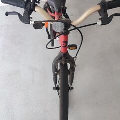 【ネット決済】子供自転車D-bykeつけ外し可能ペダル補助輪付