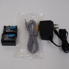 JVC ハイビジョンメモリームービー Everio GZ-HM199-S