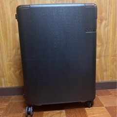 サムソナイト  [スーツケース EVOA（エヴォア） 75cm ...