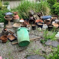 【本日のみ】【無料】鉢植え