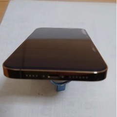 iPhone13 ProMax 256GB