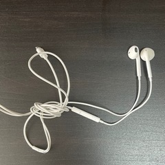 Apple 純正イヤホン