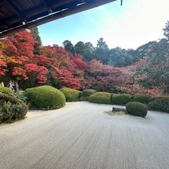 【京都】寺社仏閣巡り