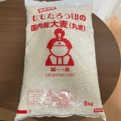 国内産 大麦(丸麦) 5kg 未開封