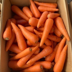 人参🥕激安‼️