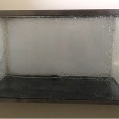 60センチガラス水槽