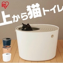 【5月6日まで】猫トイレ（中古）