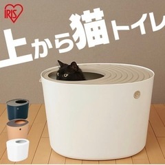 猫トイレ（中古）