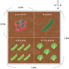 松戸市で家庭菜園用の畑を貸し出します。