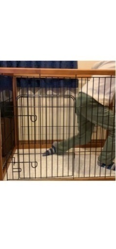 ゲージ