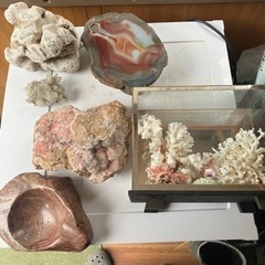 水晶や珊瑚など