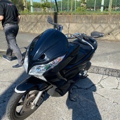 PCX125【293】