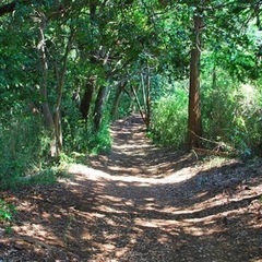 まったり朝のハイキング🌲