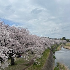 カラオケ教えてください