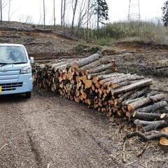 薪販売(軽トラ単位)