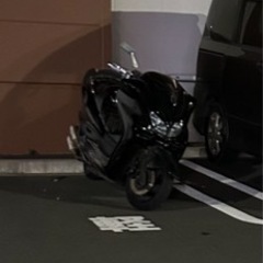 マジェスティ250 ライブディオZX興味あります