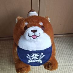 （新品）ぬいぐるみ　柴犬　