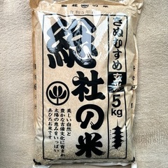 玄米 5kg 特A きぬむすめ 令和5年産 岡山県産 総社産米