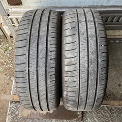 バリ山　DUNLOP ダンロップ　RV505 225/55R18...