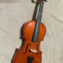 Suzuki バイオリン