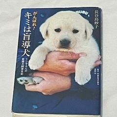 がんばれ!キミは盲導犬 : トシ子さんの盲導犬飼育日記