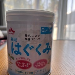 【取引者決定】粉ミルク　はぐくみ　内容量300g