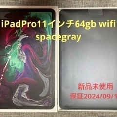 iPadPro11インチ.1gen.64gb.wifi.スペース...