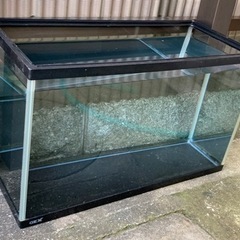 ガラス水槽60×36×27cm (非対面式　取引希望)