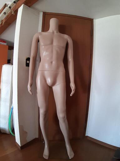 全身マネキン　男性186cm