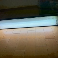 水槽　大型 90cm  ライト、濾過器　付き