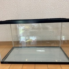 水槽　大型 90cm  ライト、濾過器　付き