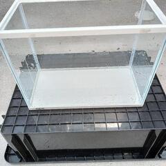 GEX フチ有り　ガラス水槽　30cm