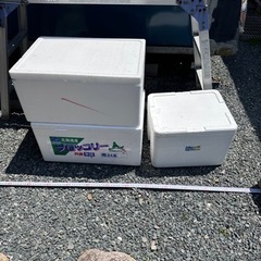 発泡スチロール箱　３つまとめて　メダカ　BBQ など