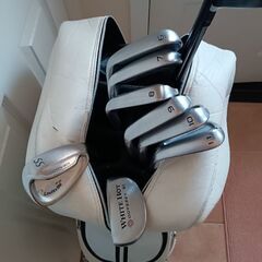 大幅値下げ　貴重なホンマ　ツアーワールド　セット